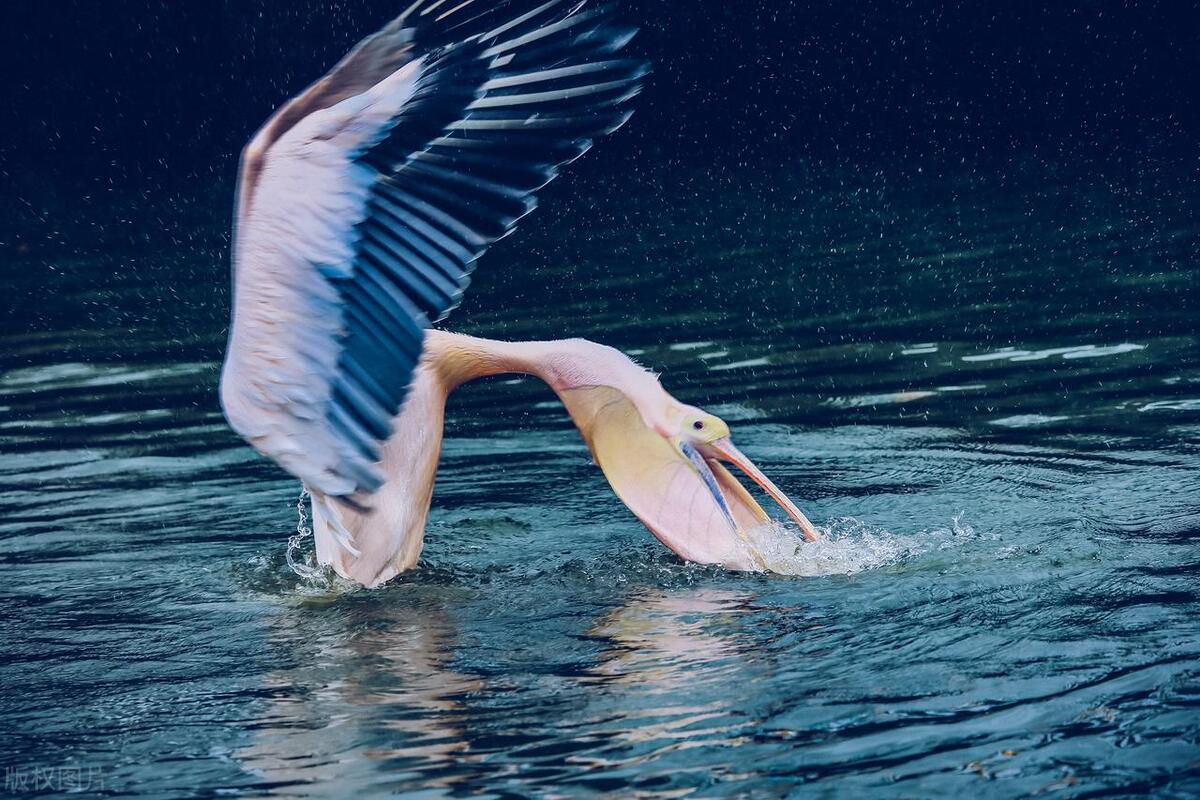 合肥十大爬山景点排名一览表,合肥最好玩的景点推荐三日游