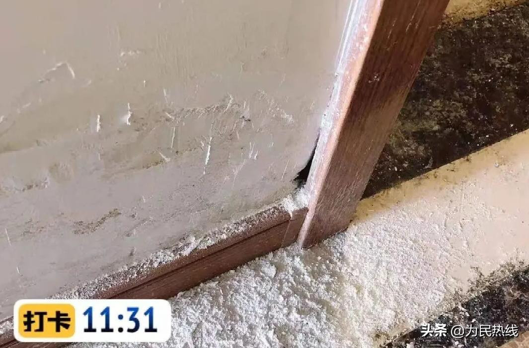 大雪天停电3天!高速噪音吵得想呕吐!长沙金科一小区被指太坑人