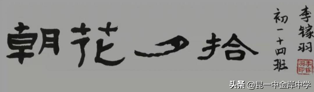 融合创新采撷精彩——《朝花夕拾》之重回百花园，绽放生命的美