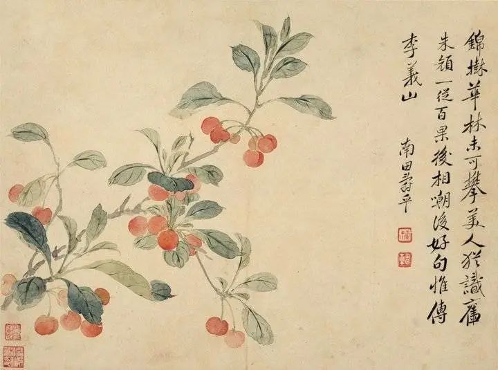 樱桃乳酪宋朝,樱桃乳酪并尝新