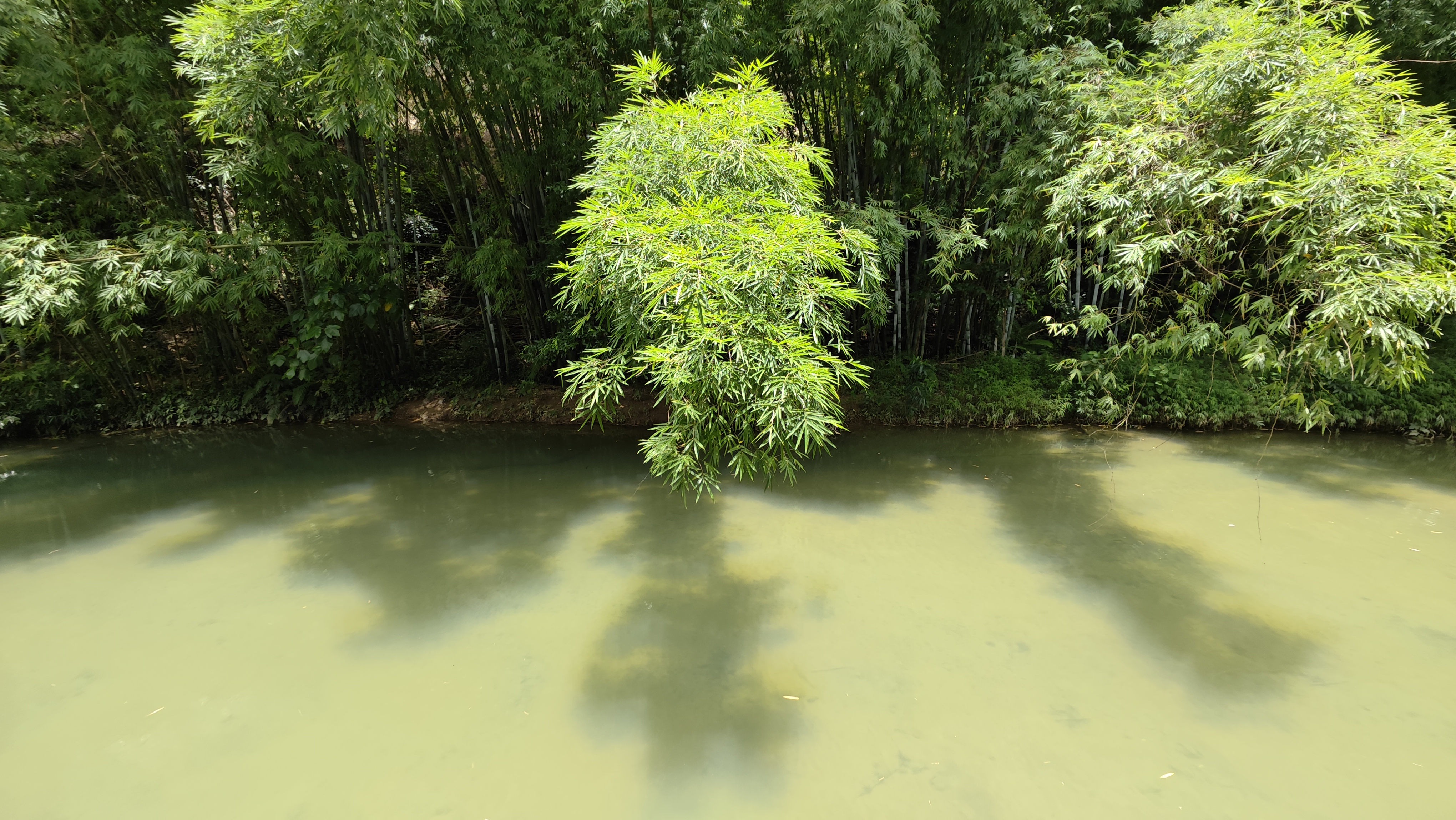 罗浮山温泉品质特色民宿推荐,惠州罗浮山脉下的乡野秘境民宿