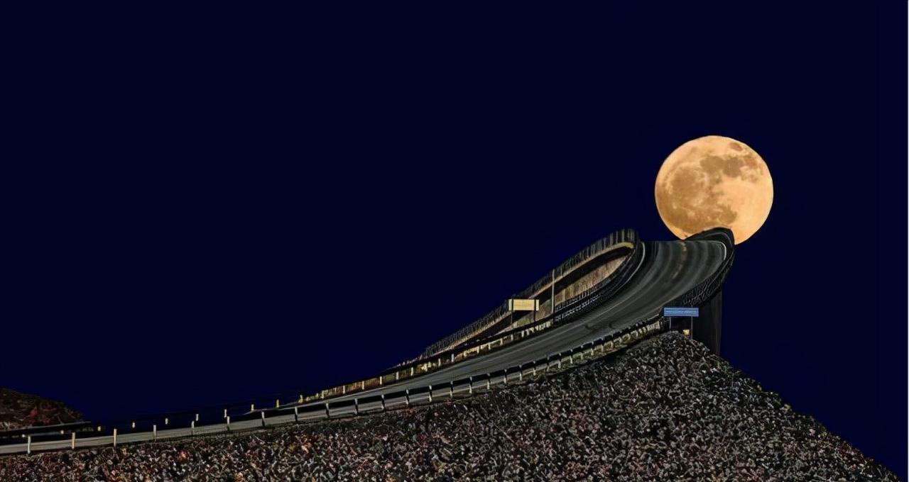 真实大象的照片,在野外拍到的真实大象