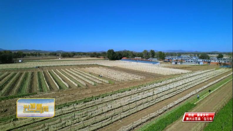 专栏《创建国家乡村振兴示范县在行动》兴城市大寨乡：家门口的酱菜厂