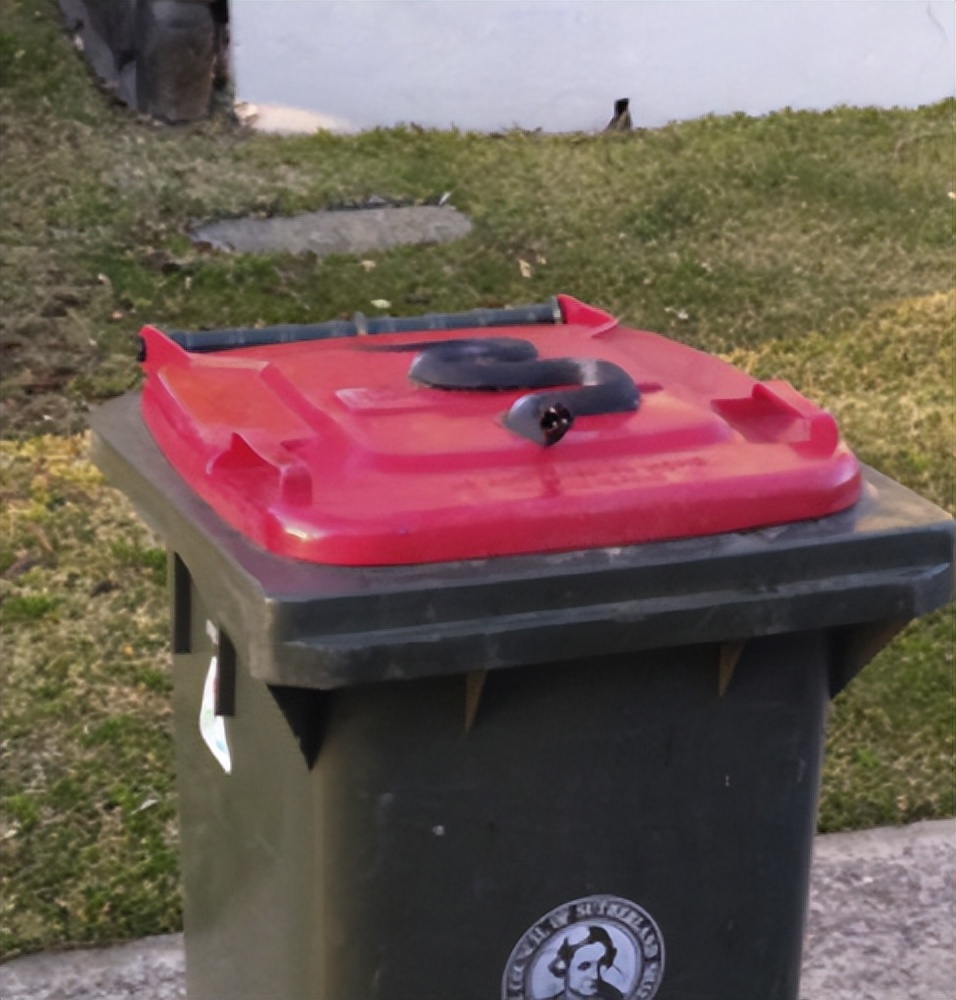 人鸟大战不断升级，想阻止鹦鹉乱翻垃圾桶太难了