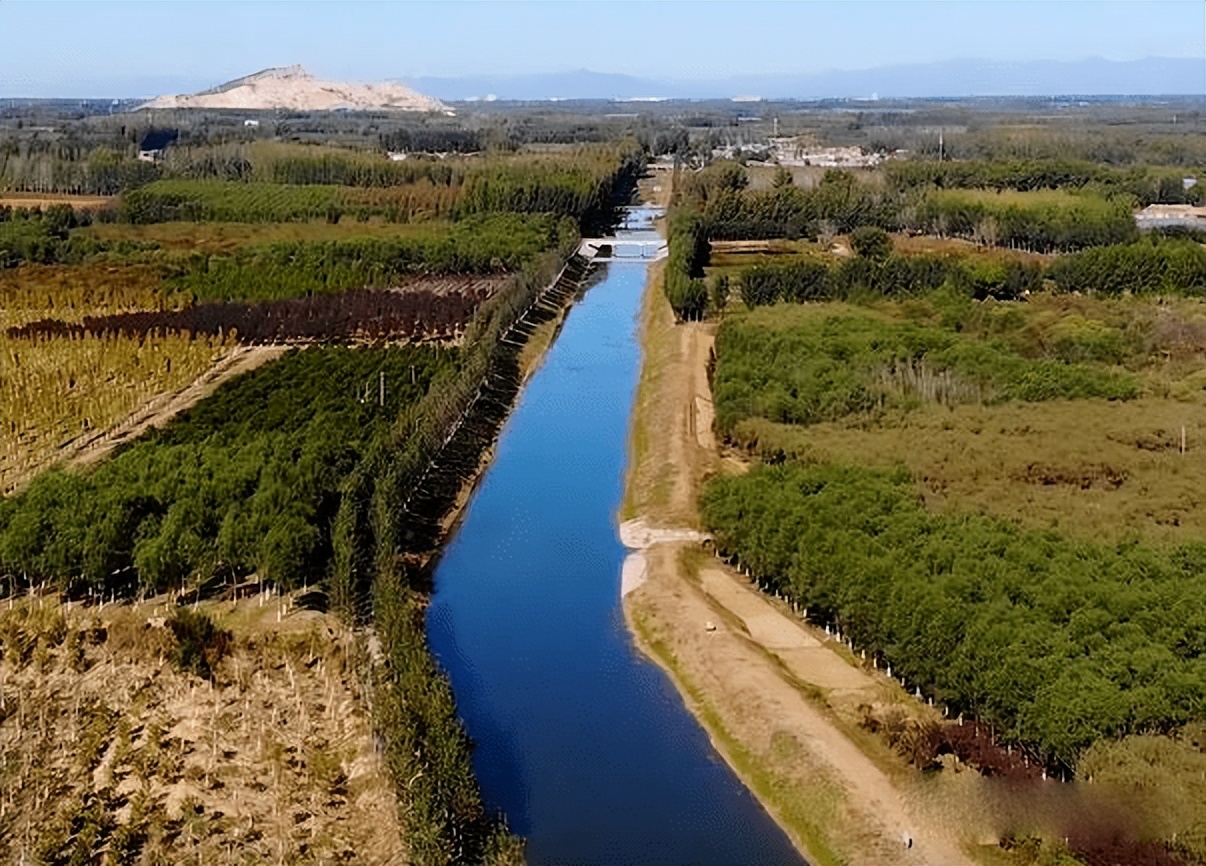 北京的鱼都,北京的鱼