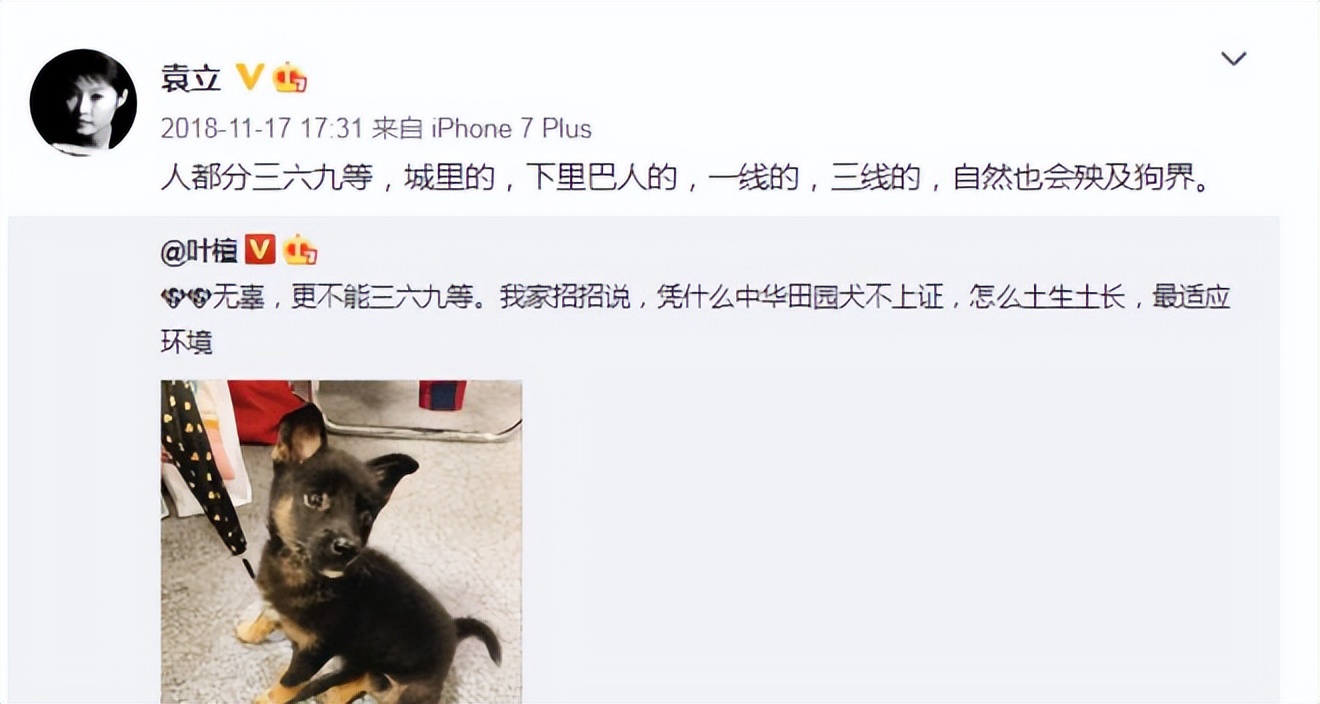 袁立偷狗搞笑视频,袁立讲偷狗的视频