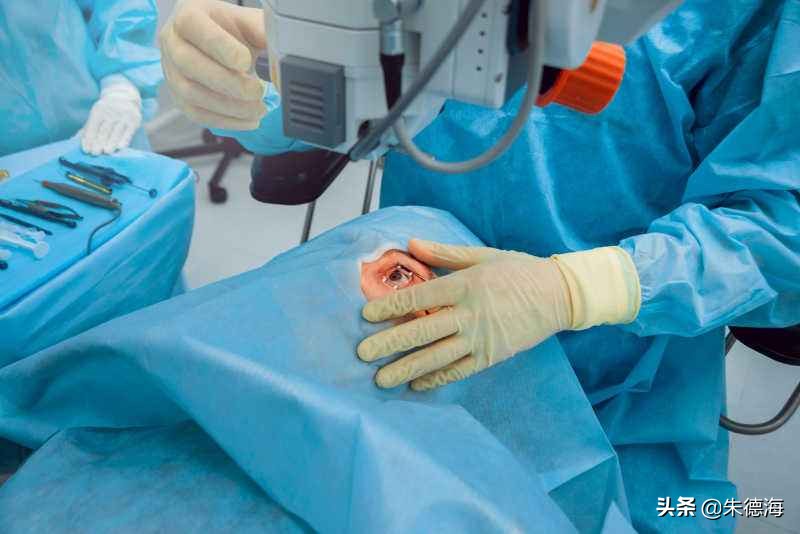 做白内障手术前后应注意什么,小猫做绝育手术前后注意事项