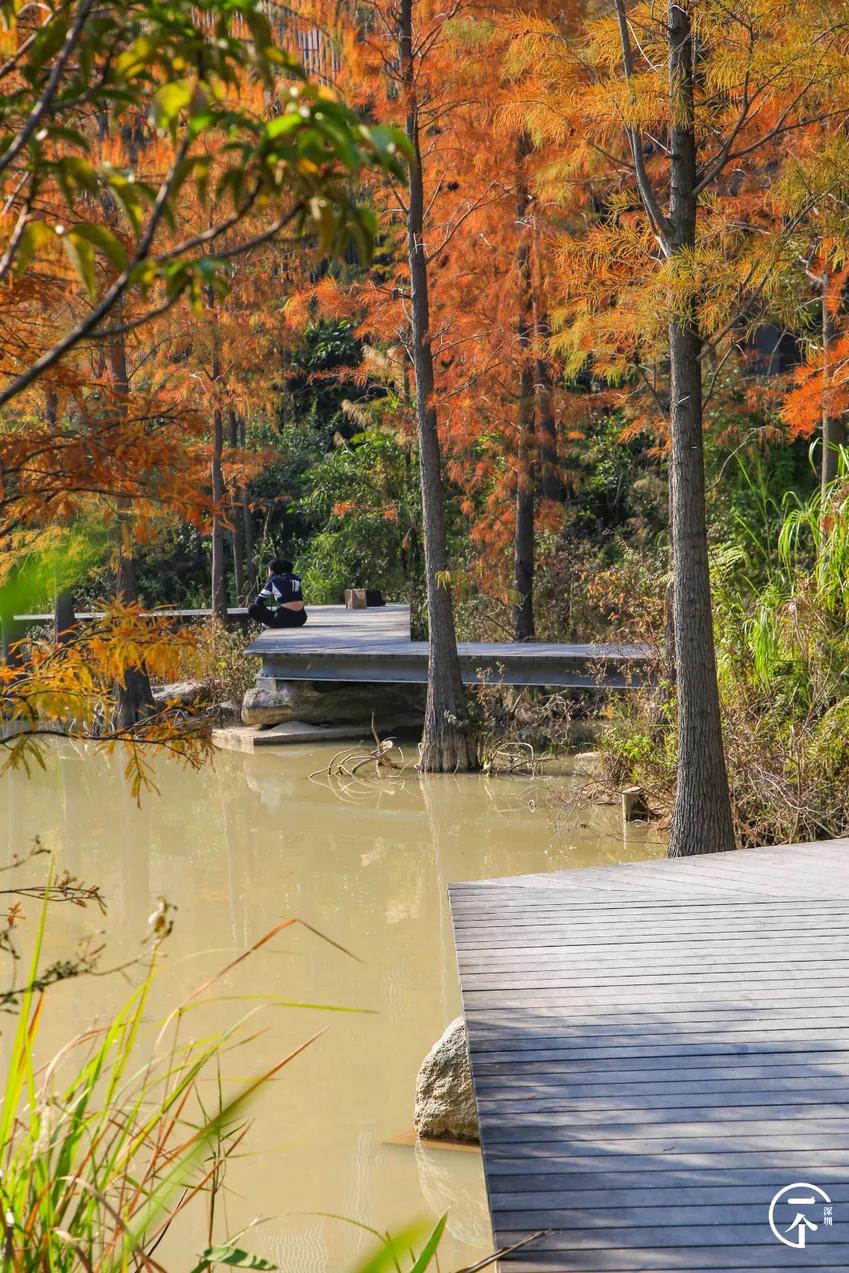深圳4个绝美海岛,深圳值得游玩的小岛