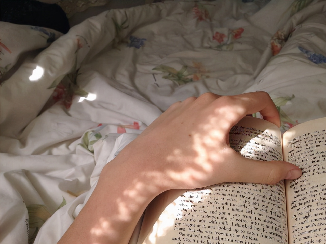 会为爱情不顾一切的星座女,默默为家庭付出的三大星座女