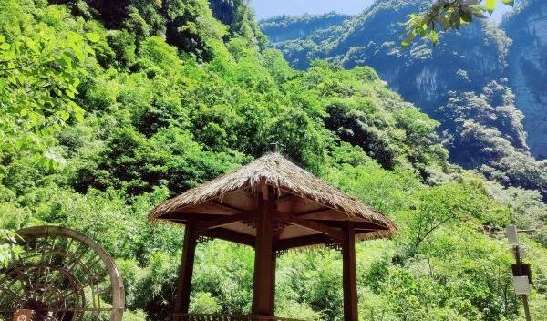 【重庆金佛山】探秘神龙峡，发现黄金大佛的秘密