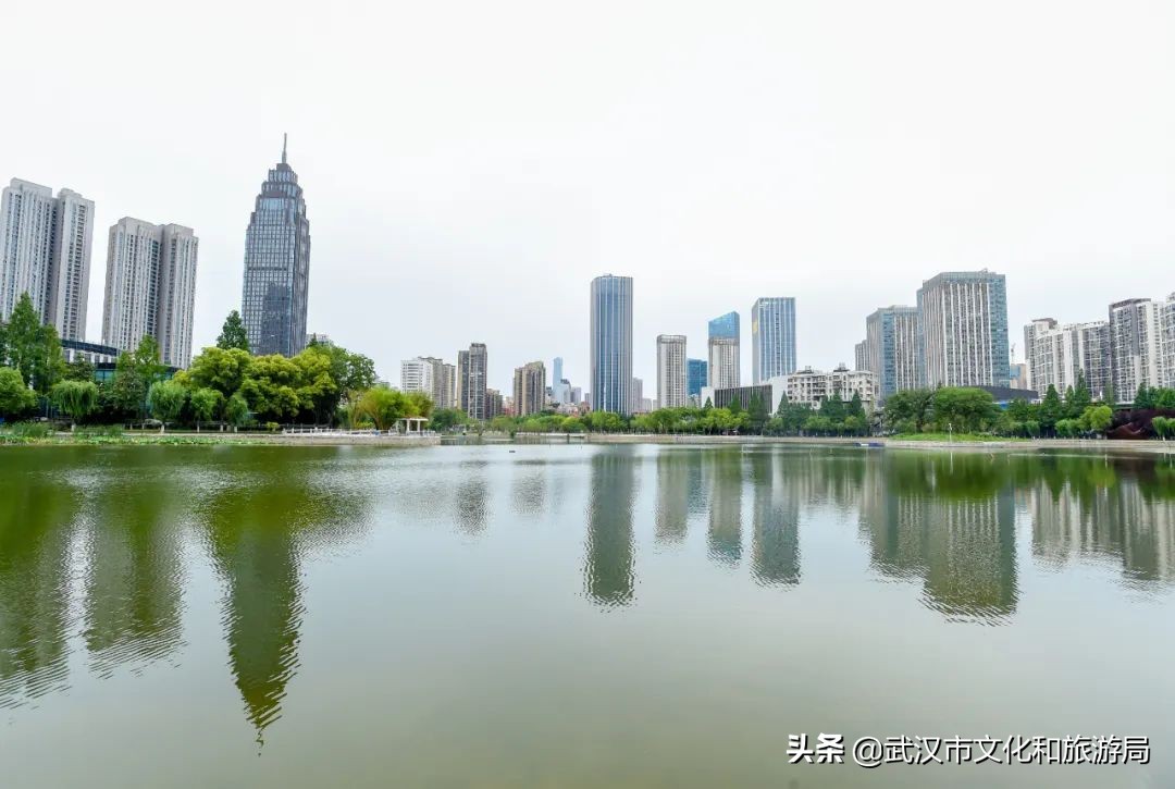 焕新乐园未来5年规划,湿地公园改造前后对比