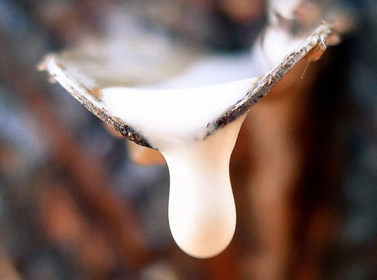 天然乳胶床垫哪个品牌好性价比高,椰棕乳胶床垫哪个品牌性价比高