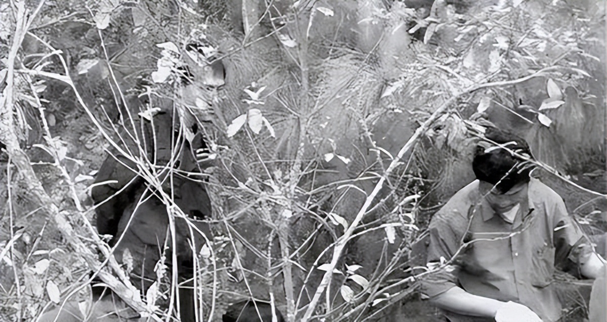 爱母情结是心理病吗,爱母情结有多可怕