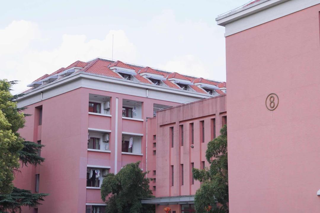 绝美！这所大学坐拥唐朝“宝藏”，食堂、宿舍双双拿下“上海第一”！