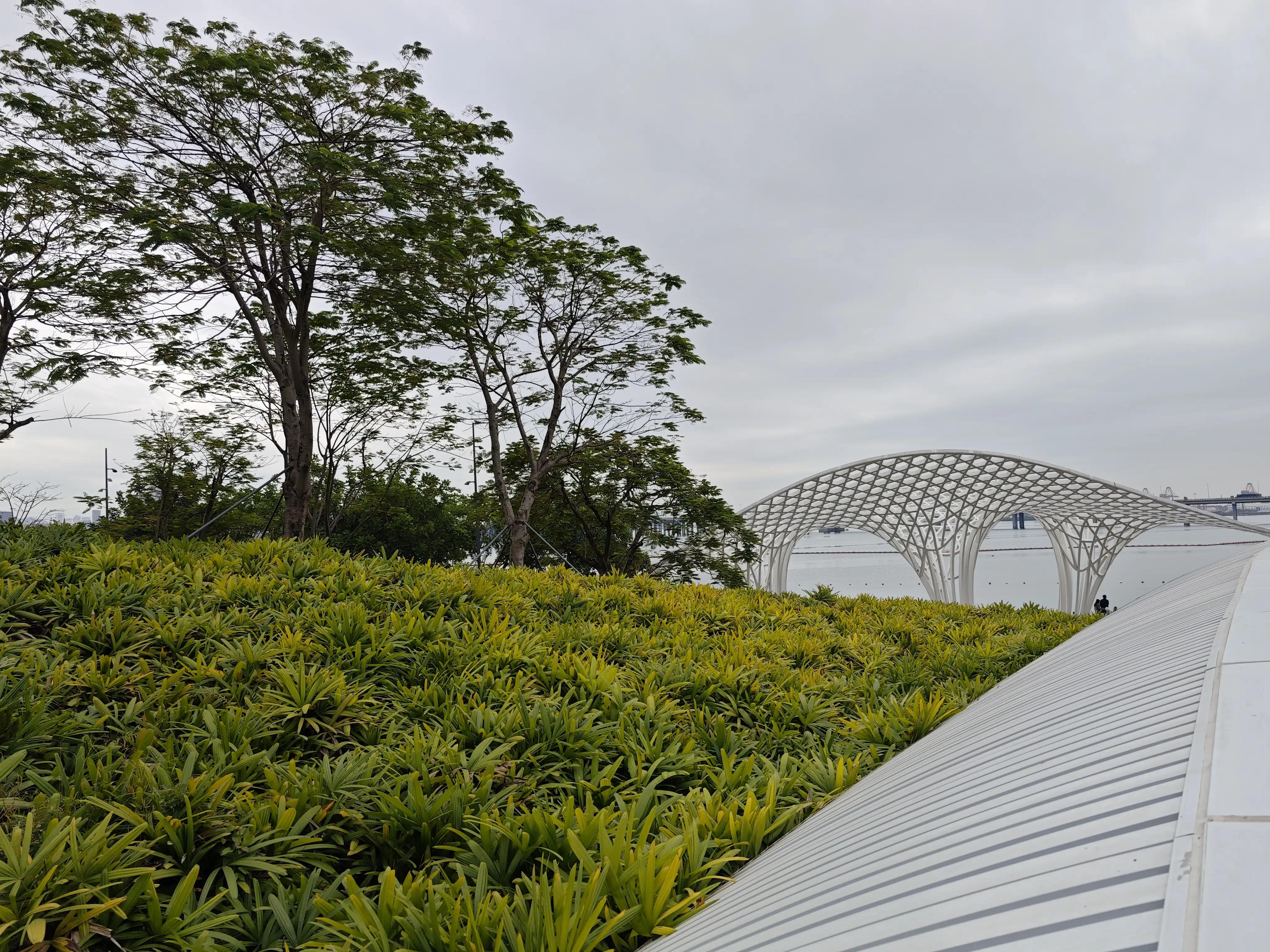 宝安滨海廊桥路线图,宝安滨海廊桥入口