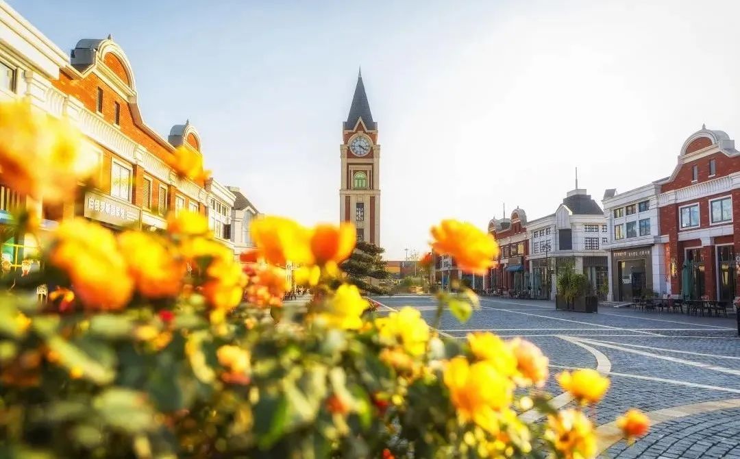 港剧那些年追过的剧,好港