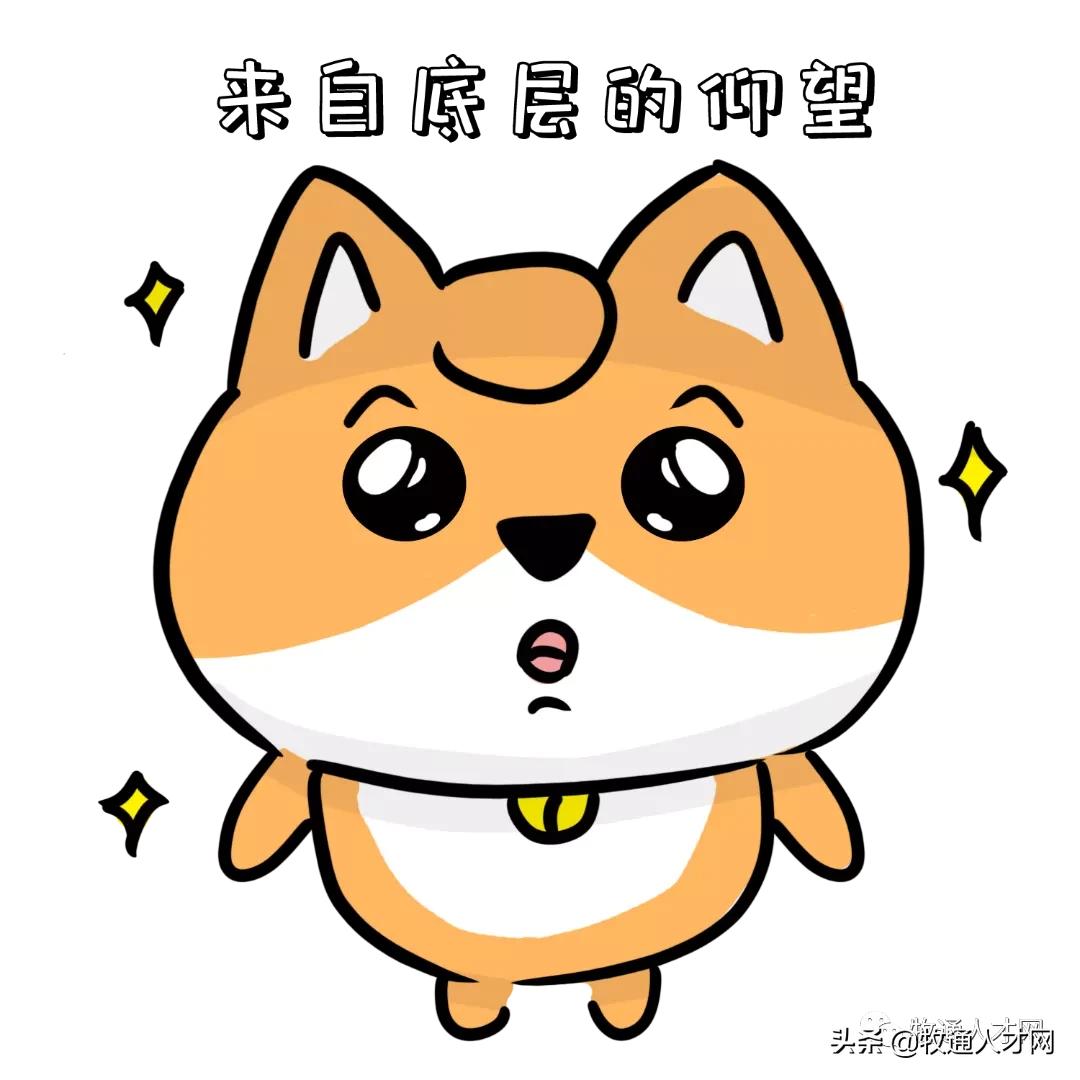 温氏养猪招聘场长,温氏养猪集团招场长信息