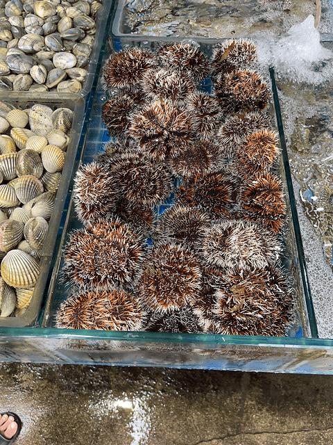 三亚陵水蓝湾绿城威斯汀度假酒店,海南陵水清水湾威斯汀酒店简介