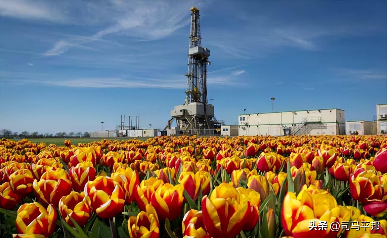 荷兰与美国的外交关系如何,荷兰与美国外交关系