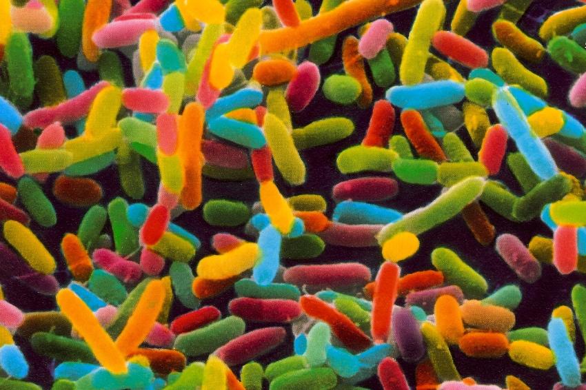 女人平时需要警惕的表现,女性身上有异味是大病的前兆