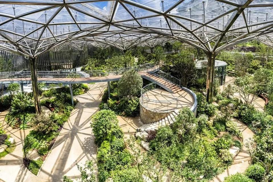 废弃矿坑即将改造的主题区,废弃矿坑生态修复与景观改造