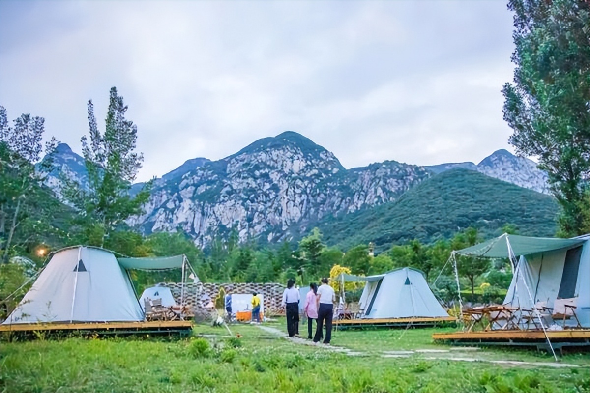 行走河南读懂中国少林寺,行走河南读懂中国会议直播