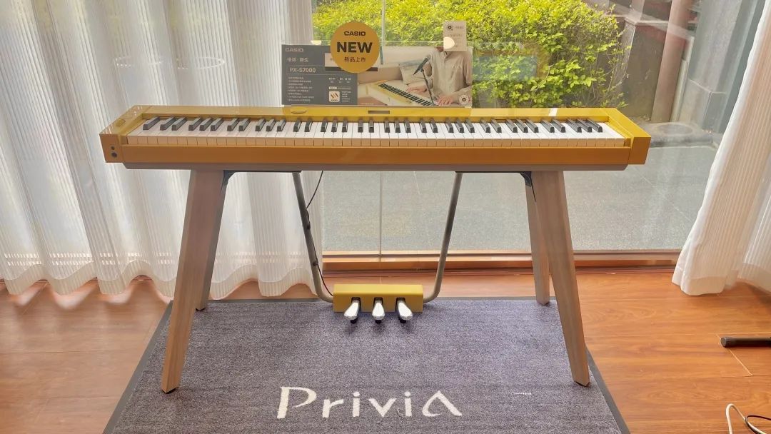 卡西欧便携电钢琴实用型,卡西欧专业便携式电钢琴