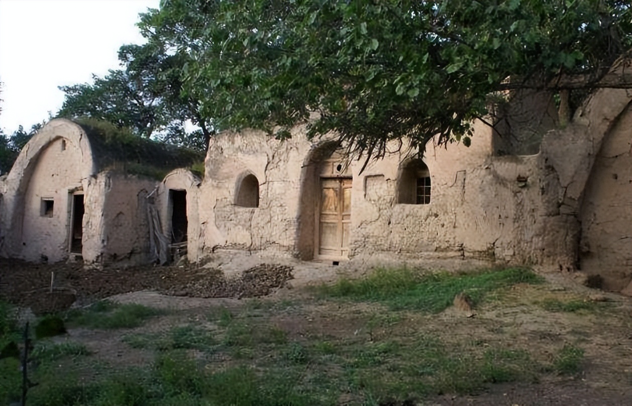 女大学生被拐卖被囚禁17年,四川姑娘被拐卖十七年