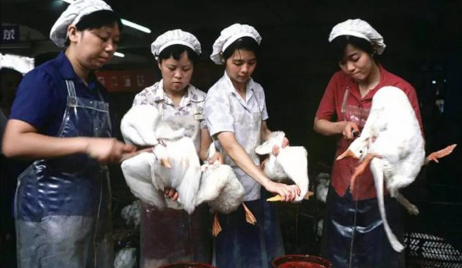 街机游戏你不知道的技巧,街机游戏中不忍直视的必杀技