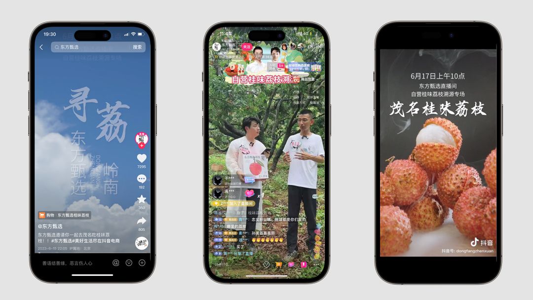 茂名当地出名的荔枝品牌,高州荔枝百亿品牌