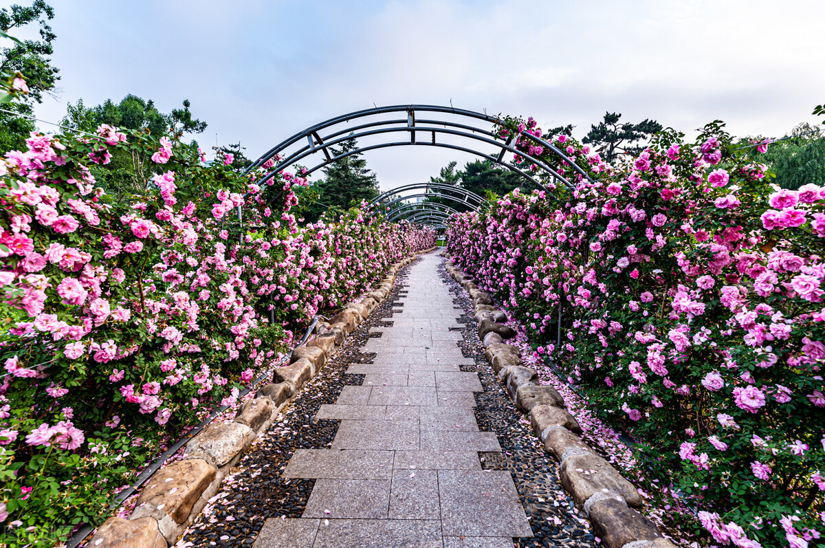有这三点的男人你一定要珍惜,人要想成功必须做到三点缺一不可
