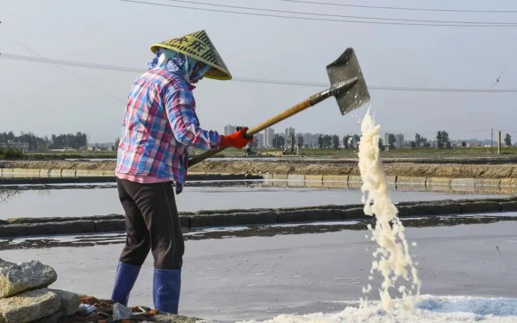 从一粒海盐解读盐工背后的劳动“秘密”