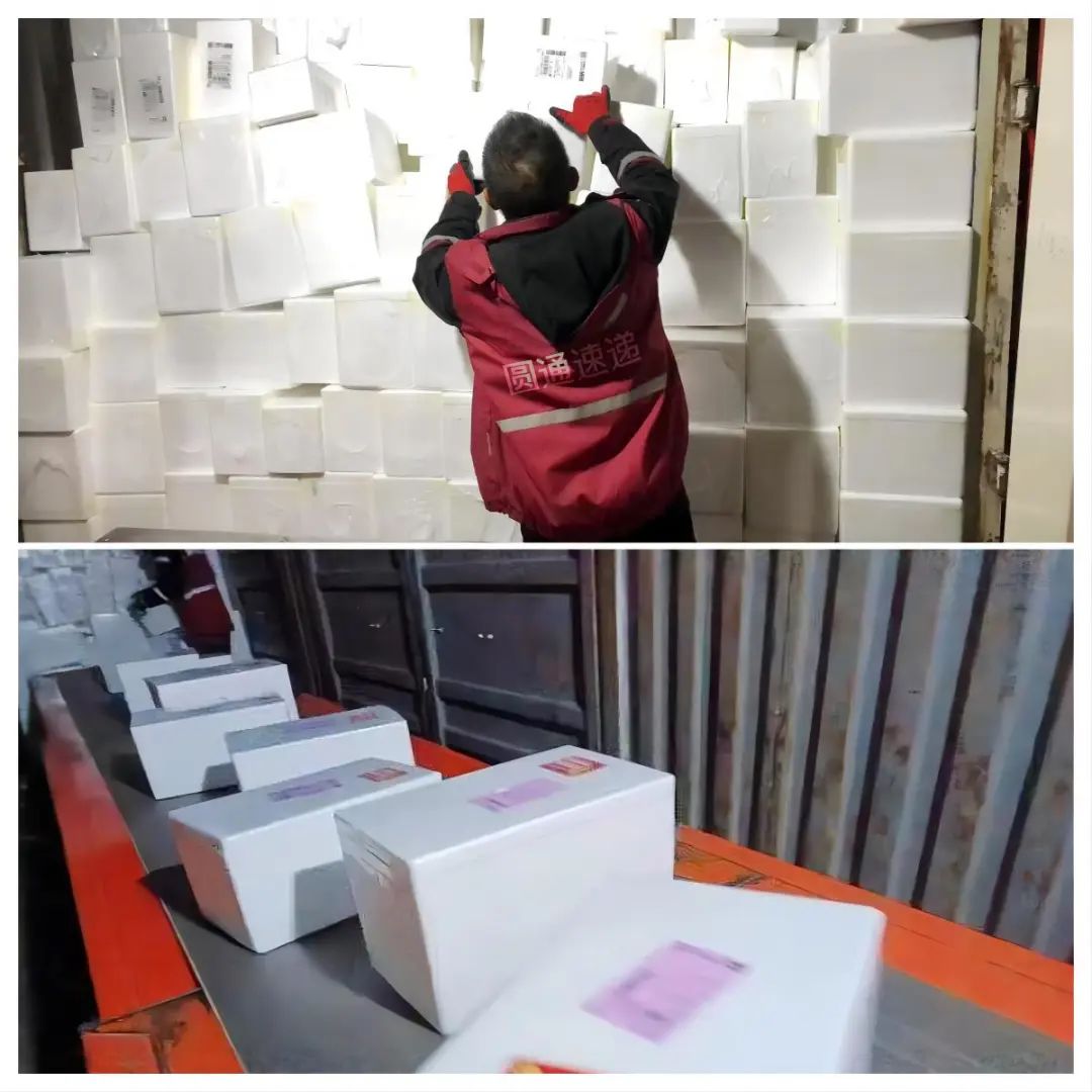 面对“双12”，客户对“圆准达”更有信心