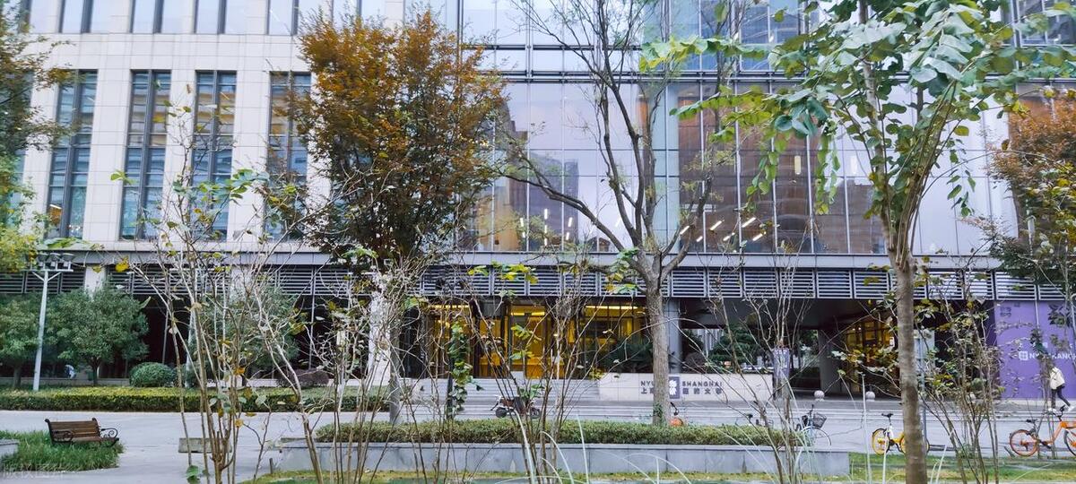 中外合作办学专业的真相,中外合作办学计划内的利与弊