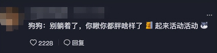 “狗界巅峰”：“把鸭当妈”骑鸭背上，全网最萌小狗吸粉550万
