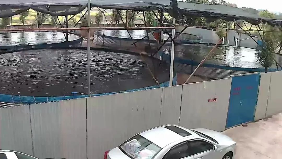 长期服用亚硝酸盐,长期摄入微量亚硝酸盐会怎样