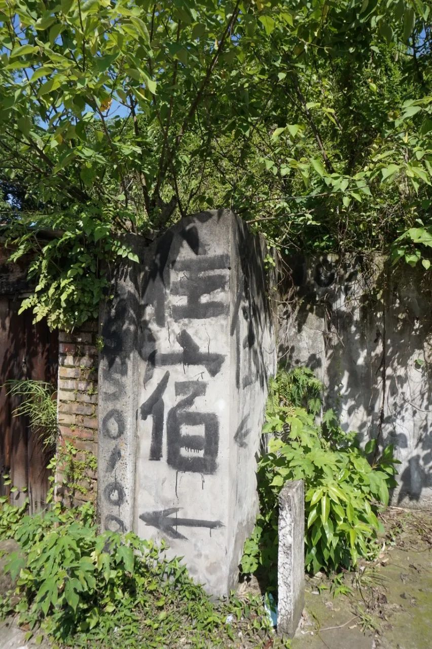 欢迎来到宜宾“北大门”！孔滩