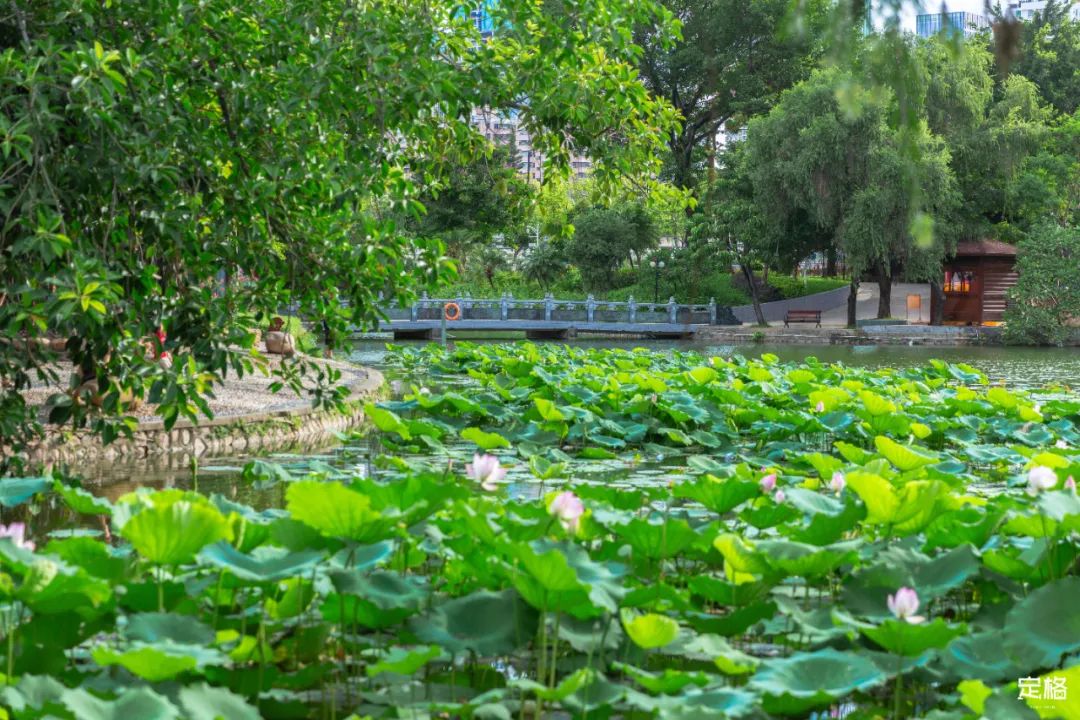 国内好看小众的湖泊,深圳好玩的湖泊有哪些