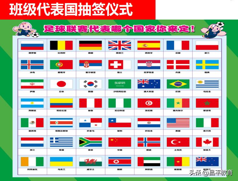 校园足球比赛世界杯,学校足球世界杯