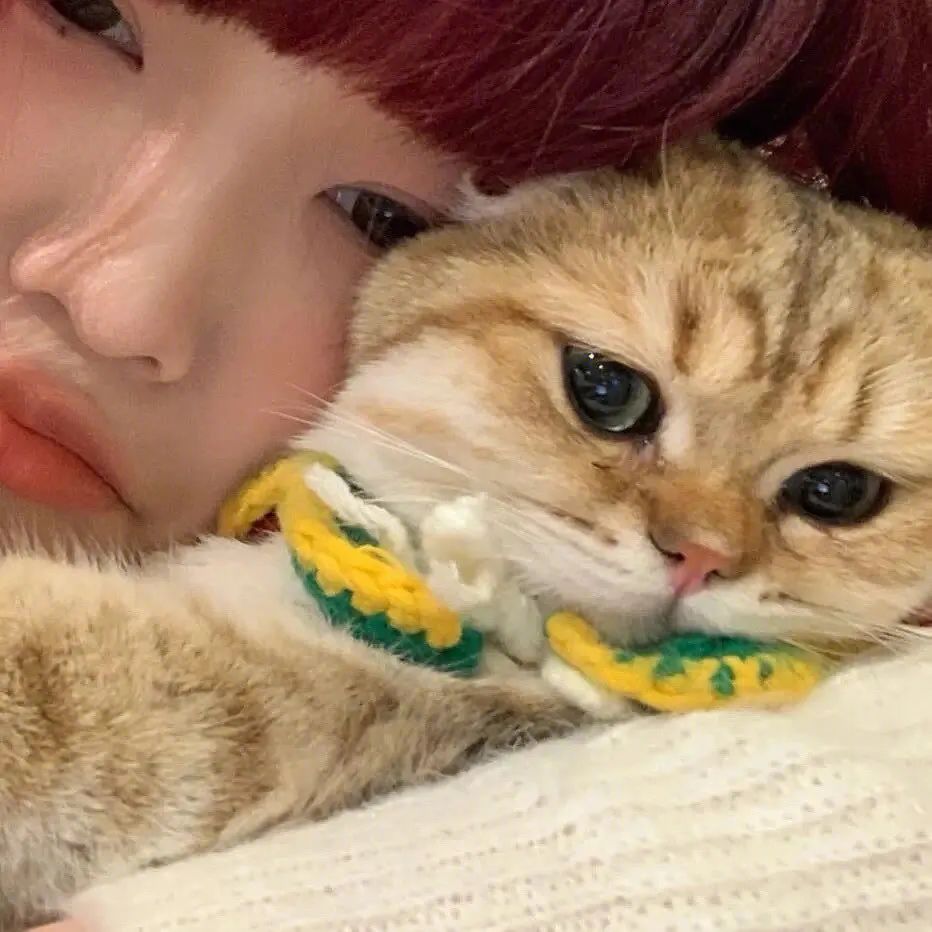 好看的情侣头像单个,好看的情侣头像大全超清