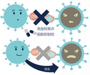流产免疫检查,习惯性流产需要打几次免疫球蛋白