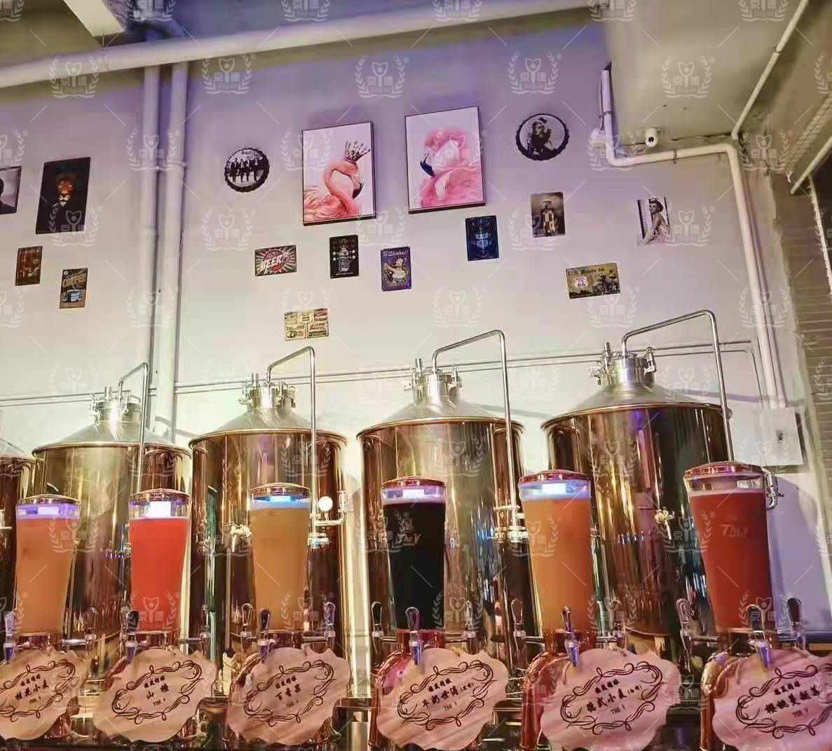 自酿啤酒设备排行榜,自酿啤酒的设备一套需要多少钱