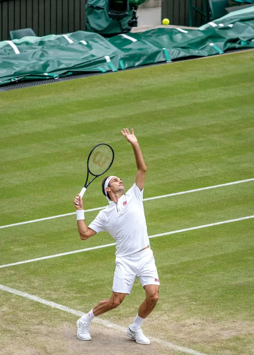 费德勒马纳里诺,费德勒在瑞士人心中地位