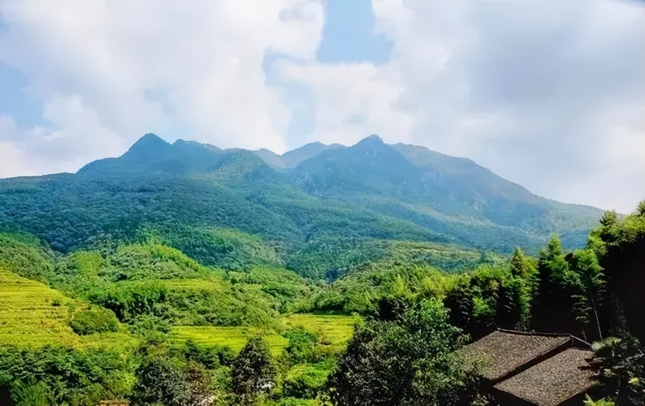 莱芜战役王耀武在哪,王耀武回忆录谈莱芜战役