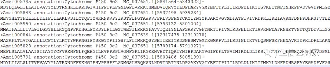 TBtools|基因家族分析,进化树、Motifs、结构域