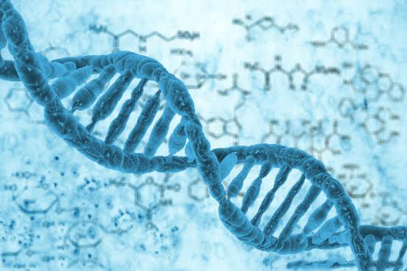 驴和马是杂交育种吗,马和驴是杂交育种吗