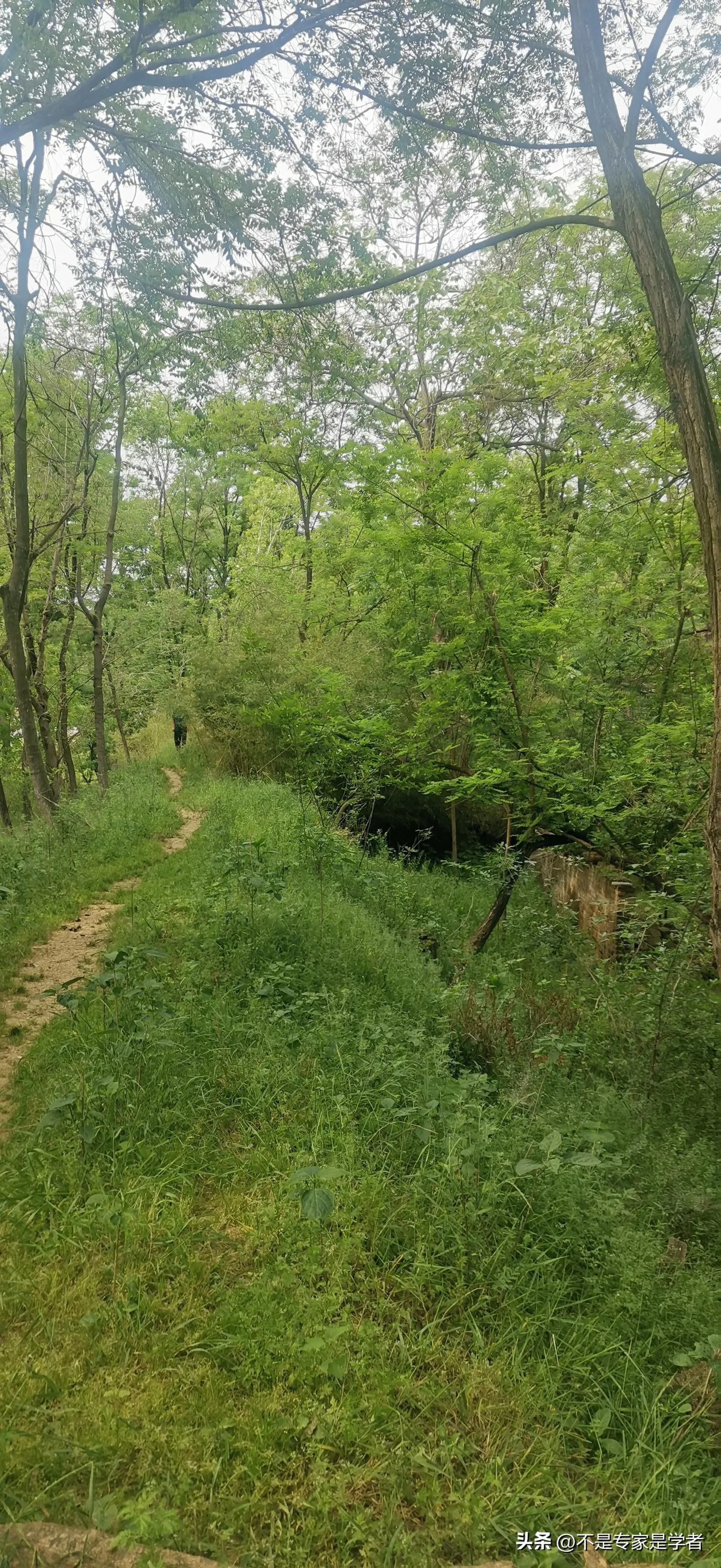 山东与河南版图有一个狭长地带,三省交界的地方河南安徽山东