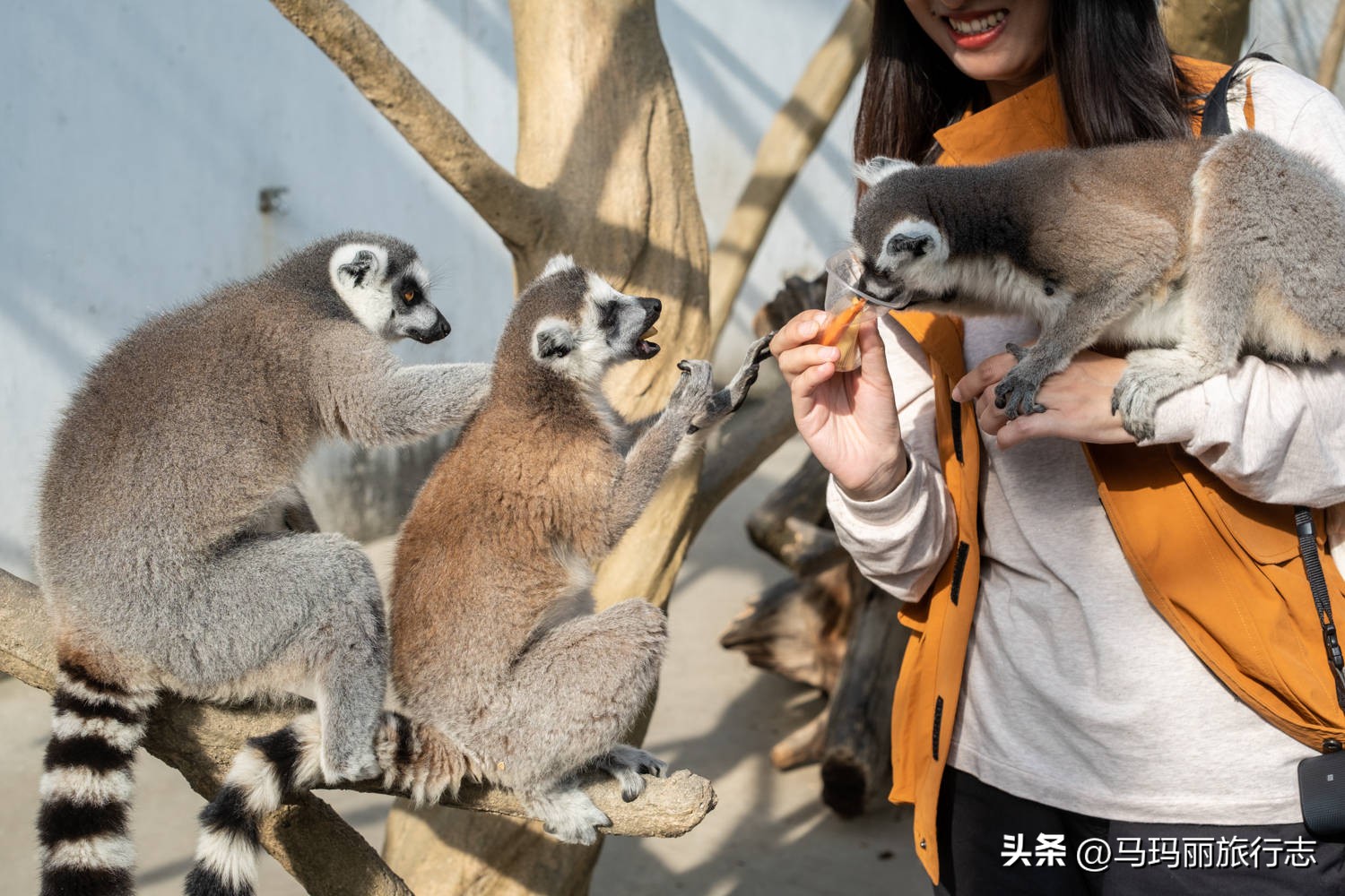 宿州到底有多好耍的地方,宿州有哪里值得去的地方