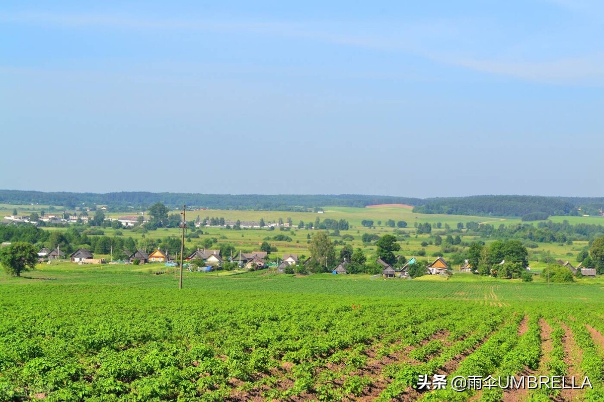 俄国风情：吉林老金在俄罗斯种蔬菜，成了当地的蔬菜大王