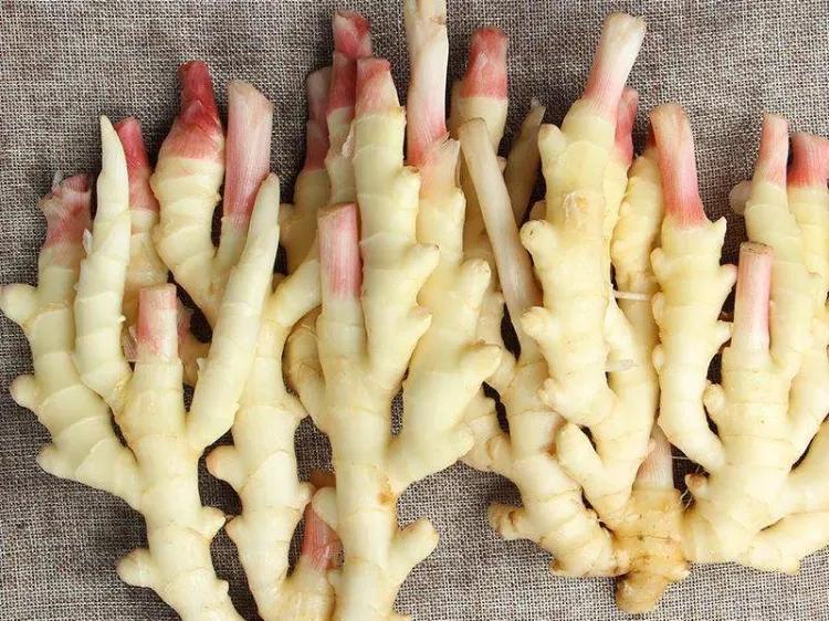 中国地理标志产品生姜,中国地理标志产品